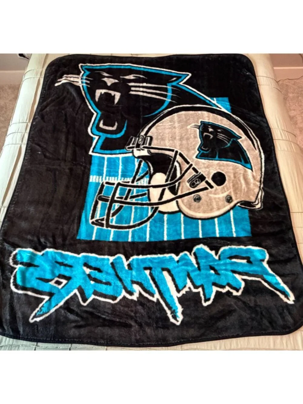 NFL Carolina Panthers Fleece Throw Blanket Large Logo Blue Black 51